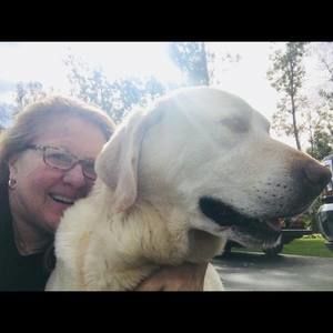 Meet your Posher, Nancy